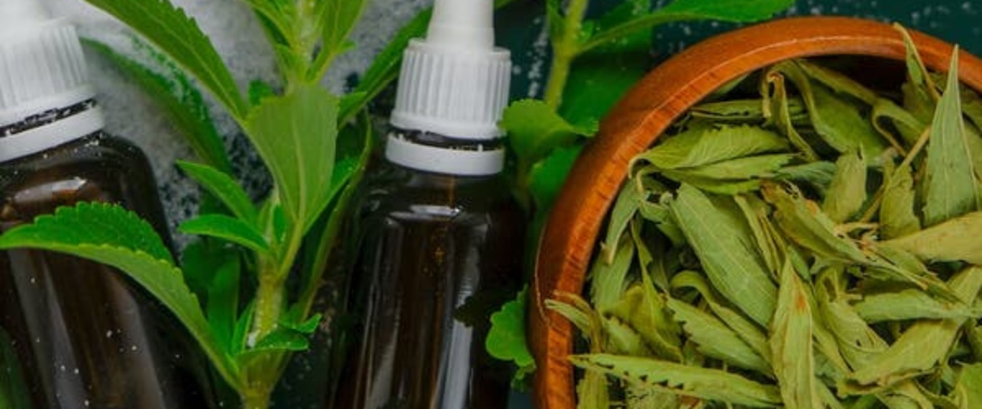 The Journey of Liquid Stevia: From Leaf to Bottle